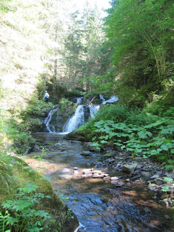 Roetenbacher Wiesen Friedenweiler Luaran gambar